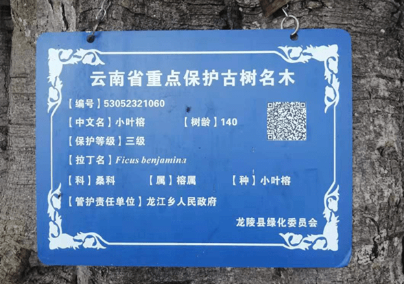 保山新闻网(微信)