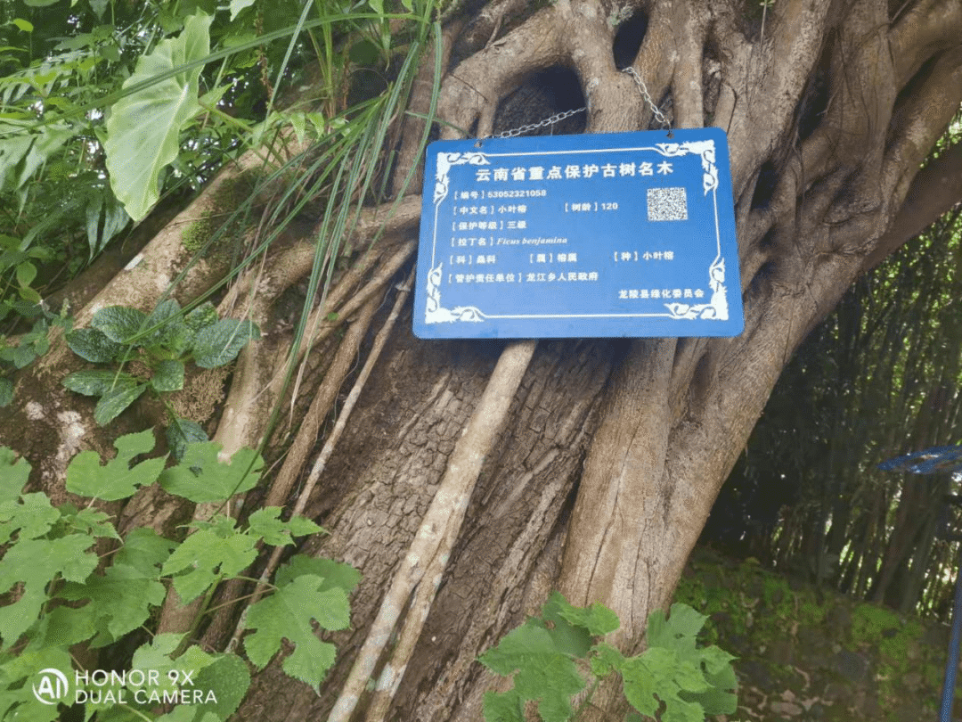 保山新闻网(微信)
