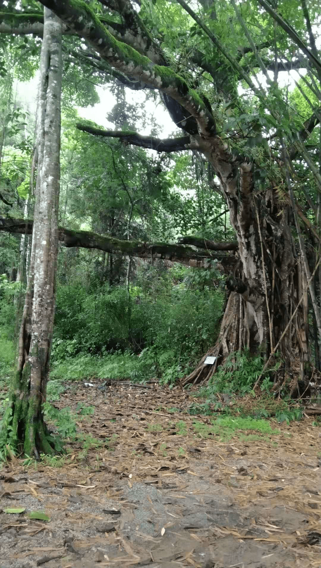 保山新闻网(微信)