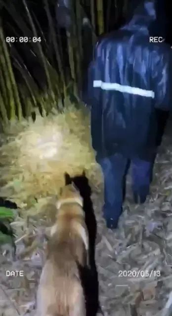 春城晚报(微信)