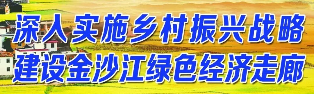 丽江日报(微信)