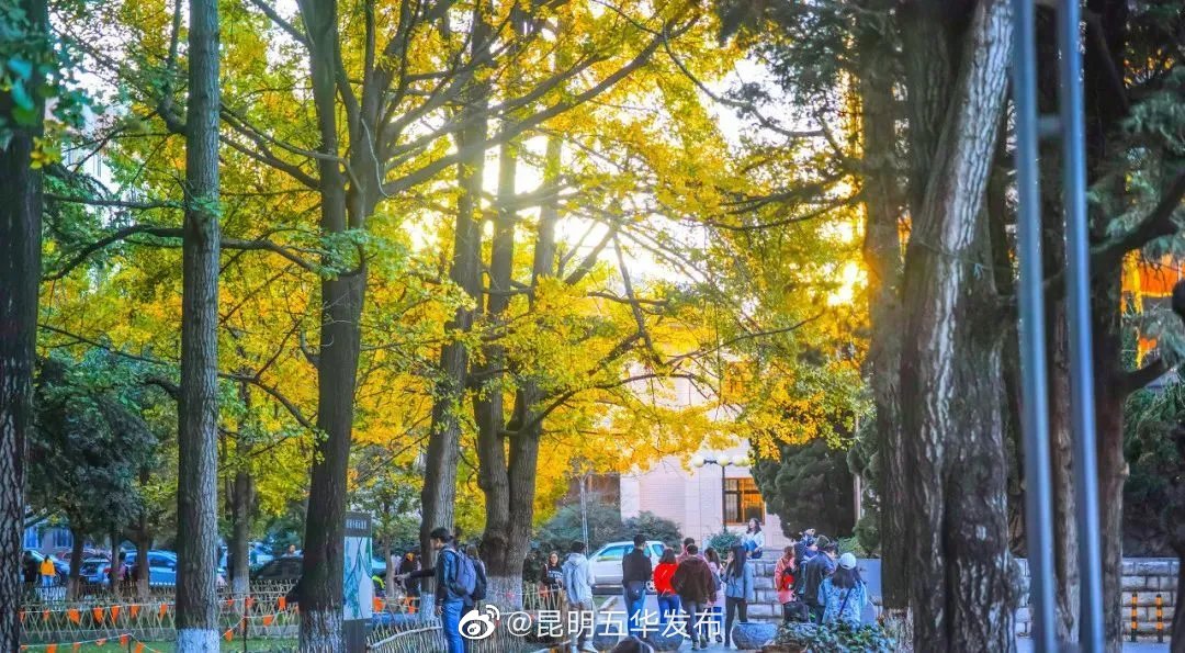 “昆明五华发布”微博