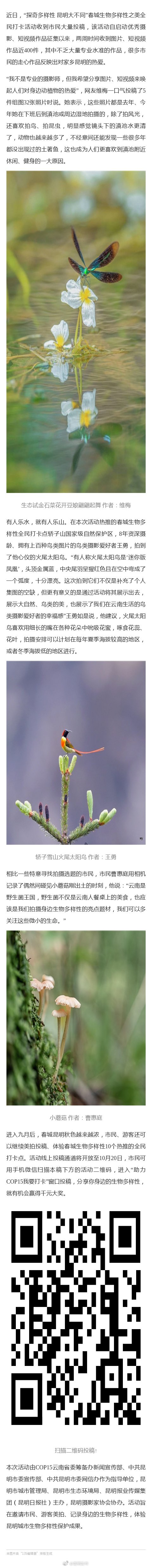 “昆明发布”微博