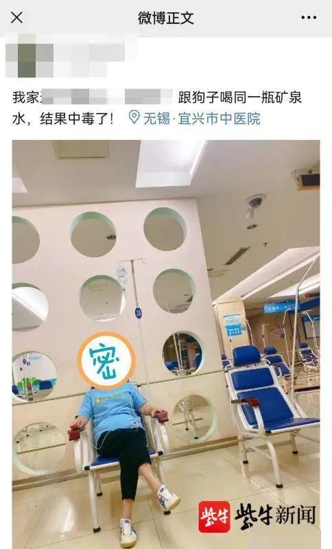 春城晚报(微信)