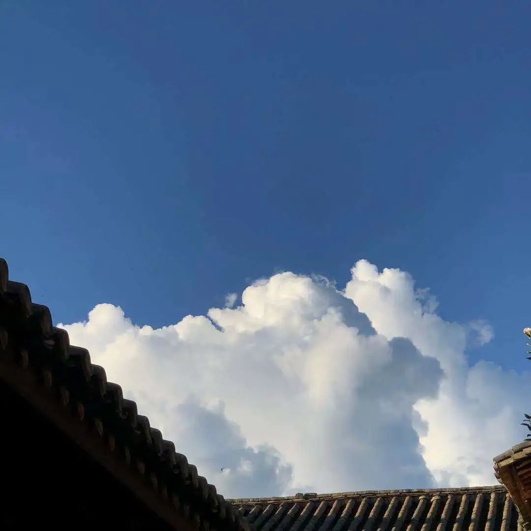 红河文旅(微信)