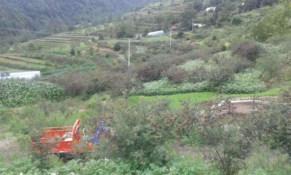 丽江日报(微信)