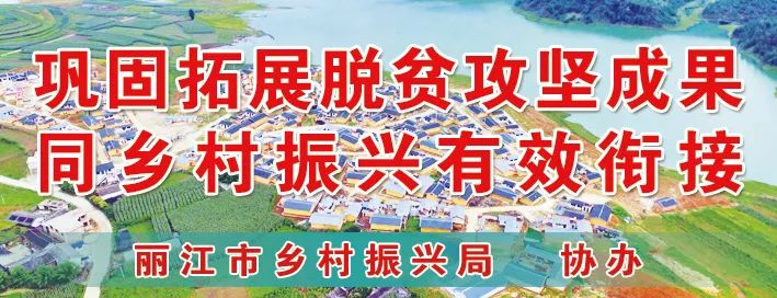 丽江日报(微信)