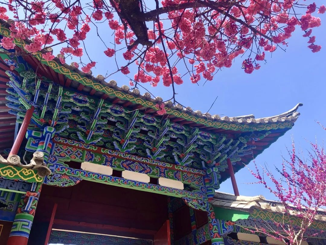 丽江日报(微信)