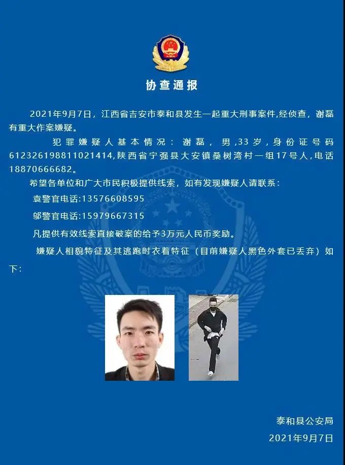 春城晚报(微信)