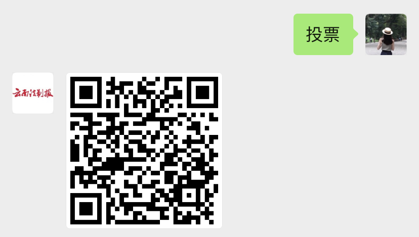 云南法制报(微信)