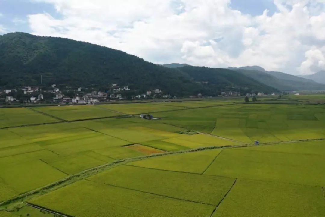 丽江日报(微信)