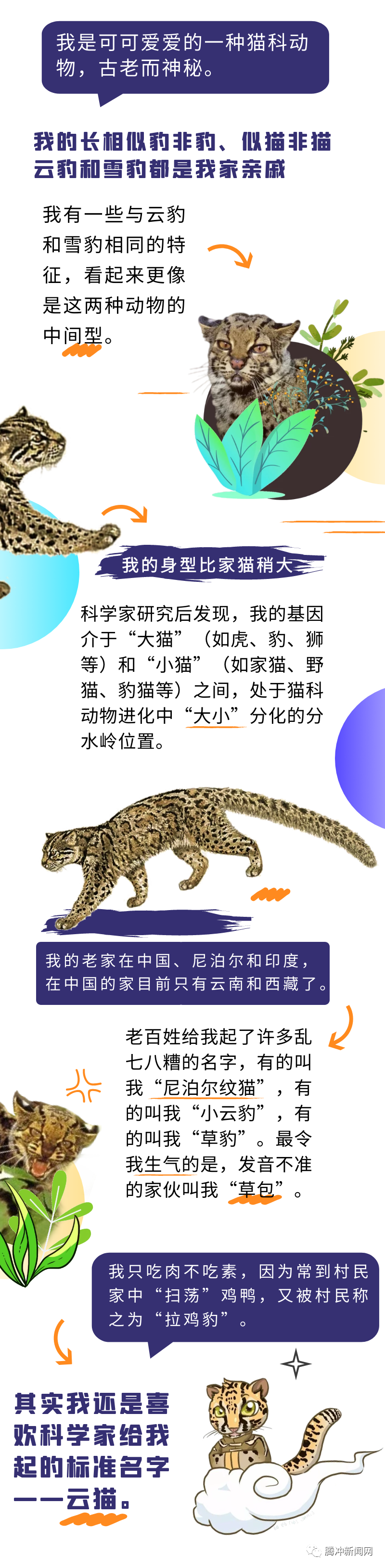 保山新闻网(微信)