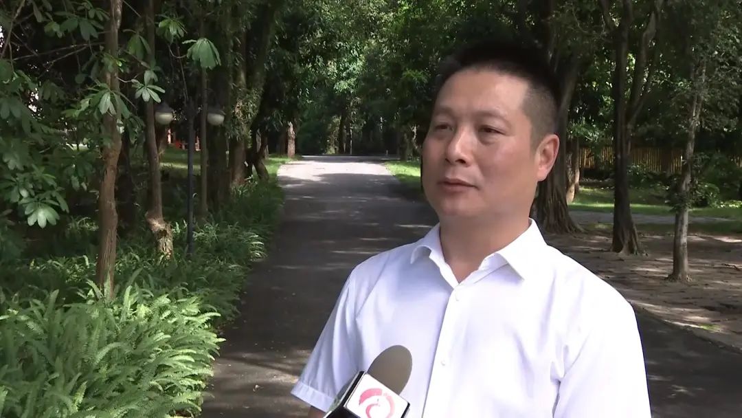 西双版纳先锋(微信)