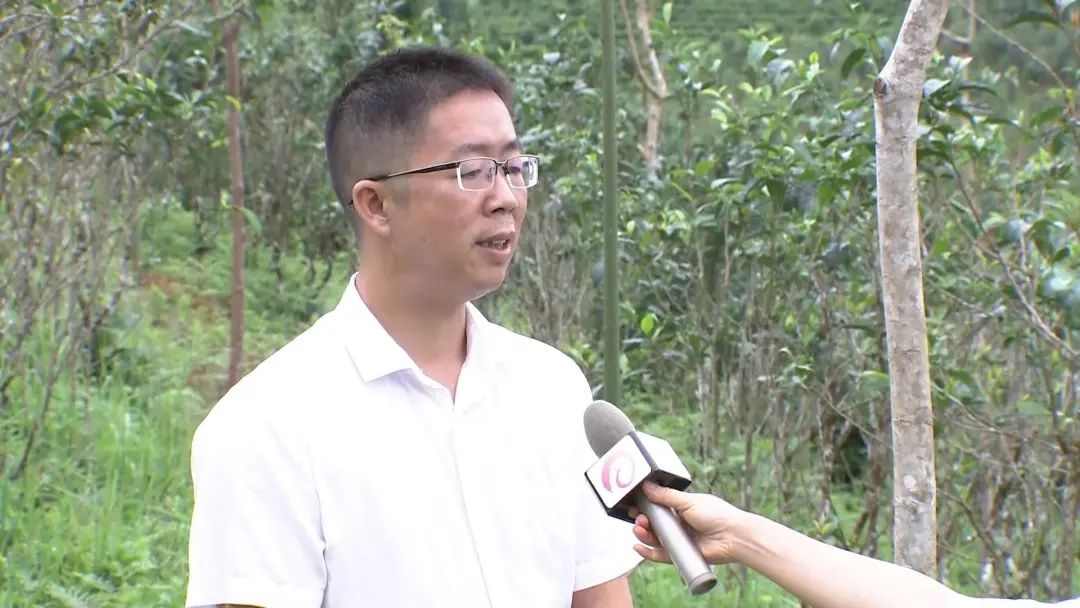 西双版纳先锋(微信)