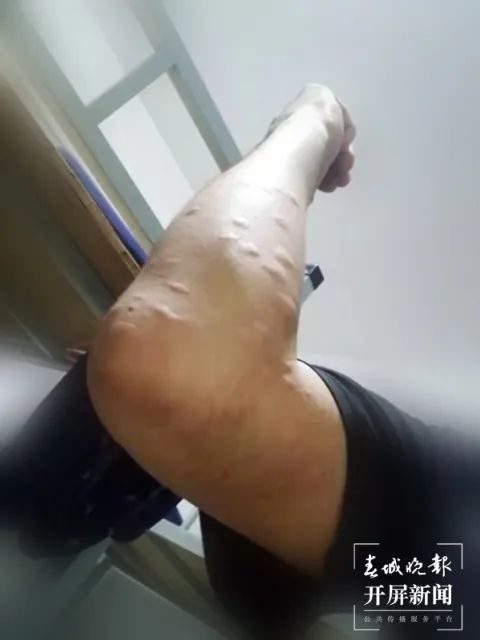 春城晚报(微信)