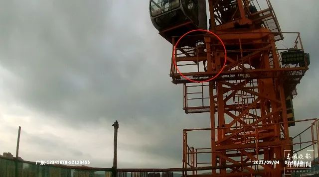 春城晚报(微信)