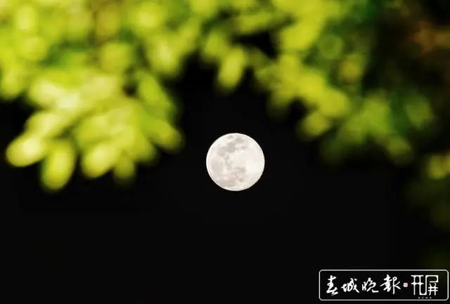 春城晚报(微信)