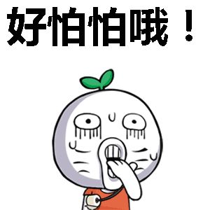 云南政法(微信)