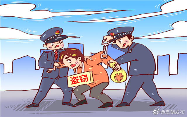 “顺手牵羊”就是盗窃！嵩明警方速破珠宝盗窃案