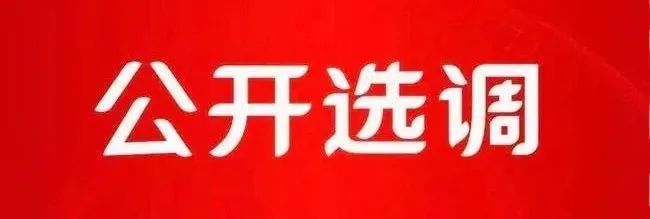 红色扎西(微信)