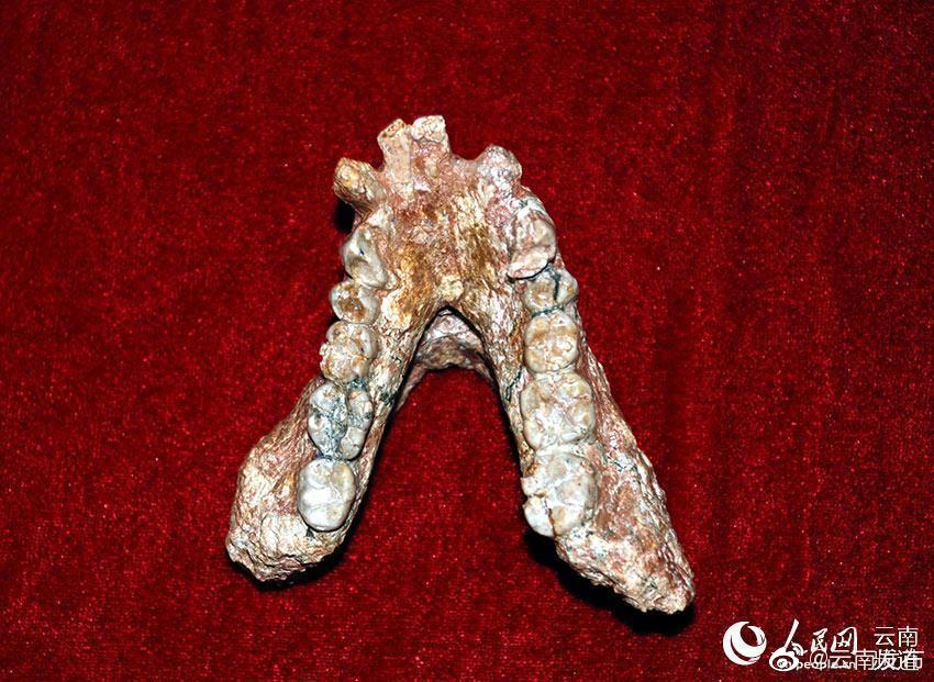 “云南发布”微博