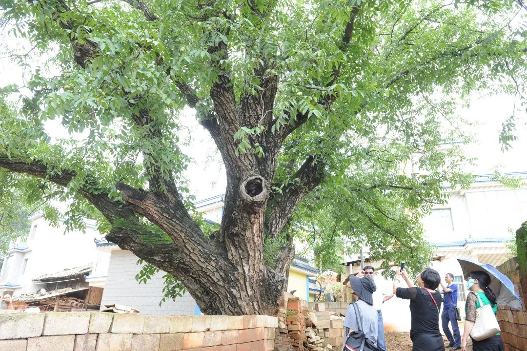 昆明信息港(微信)