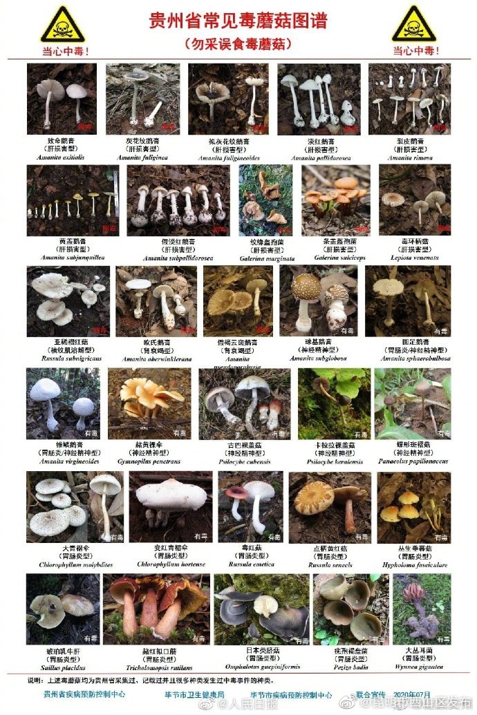 “昆明市西山区发布”微博
