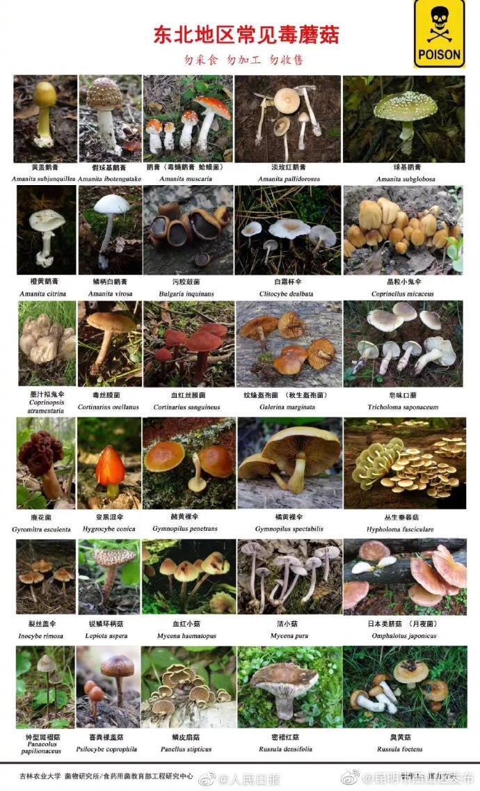 “昆明市西山区发布”微博