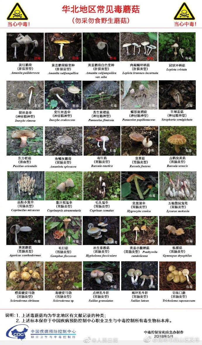 “昆明市西山区发布”微博