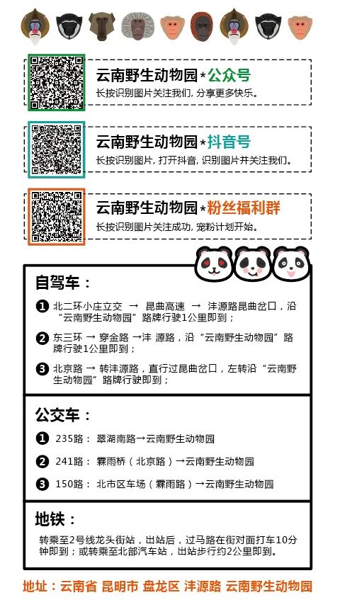云南野生动物园(微信)