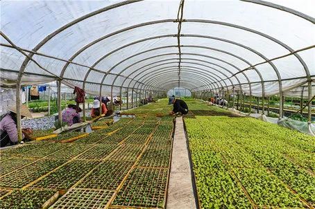 保山新闻网(微信)