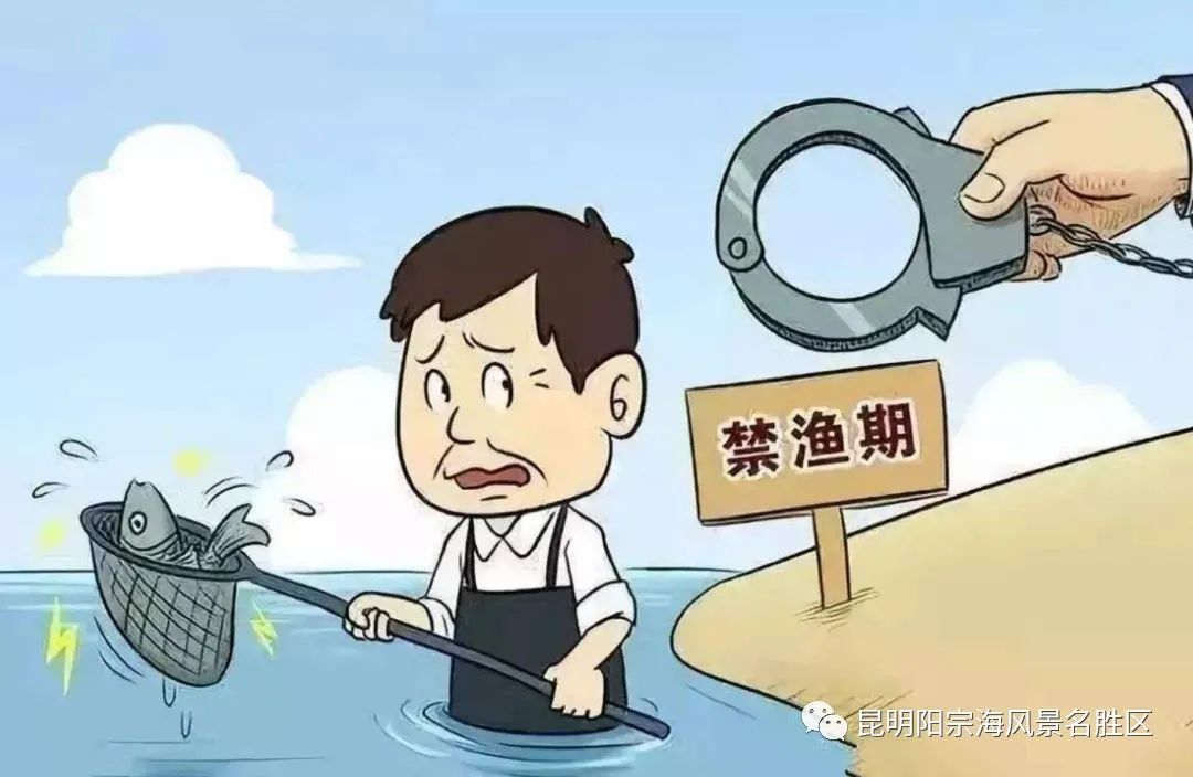 昆明阳宗海风景名胜区(微信)