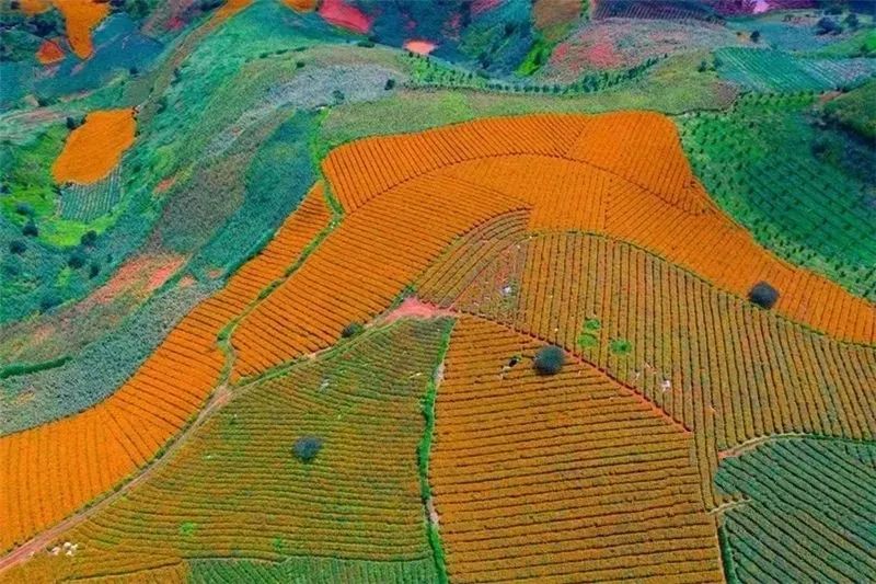 红河文旅(微信)