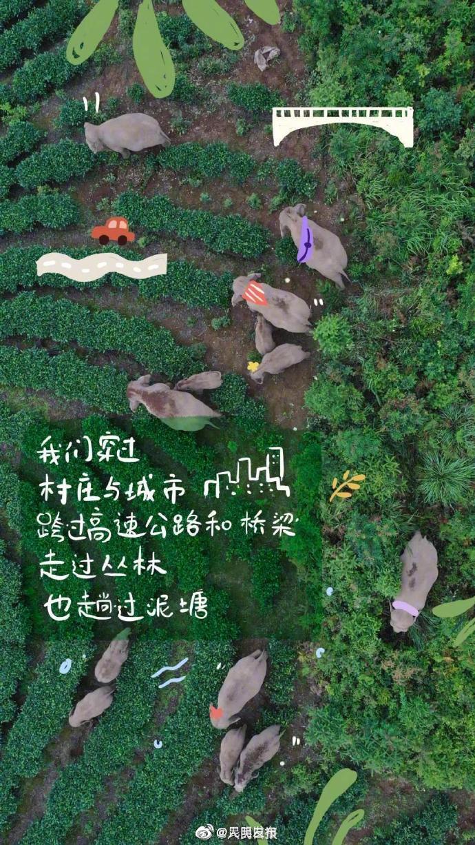 “昆明发布”微博