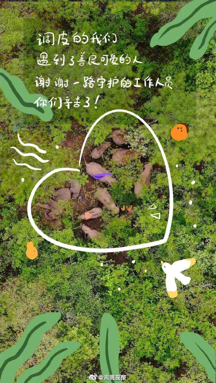 “昆明发布”微博