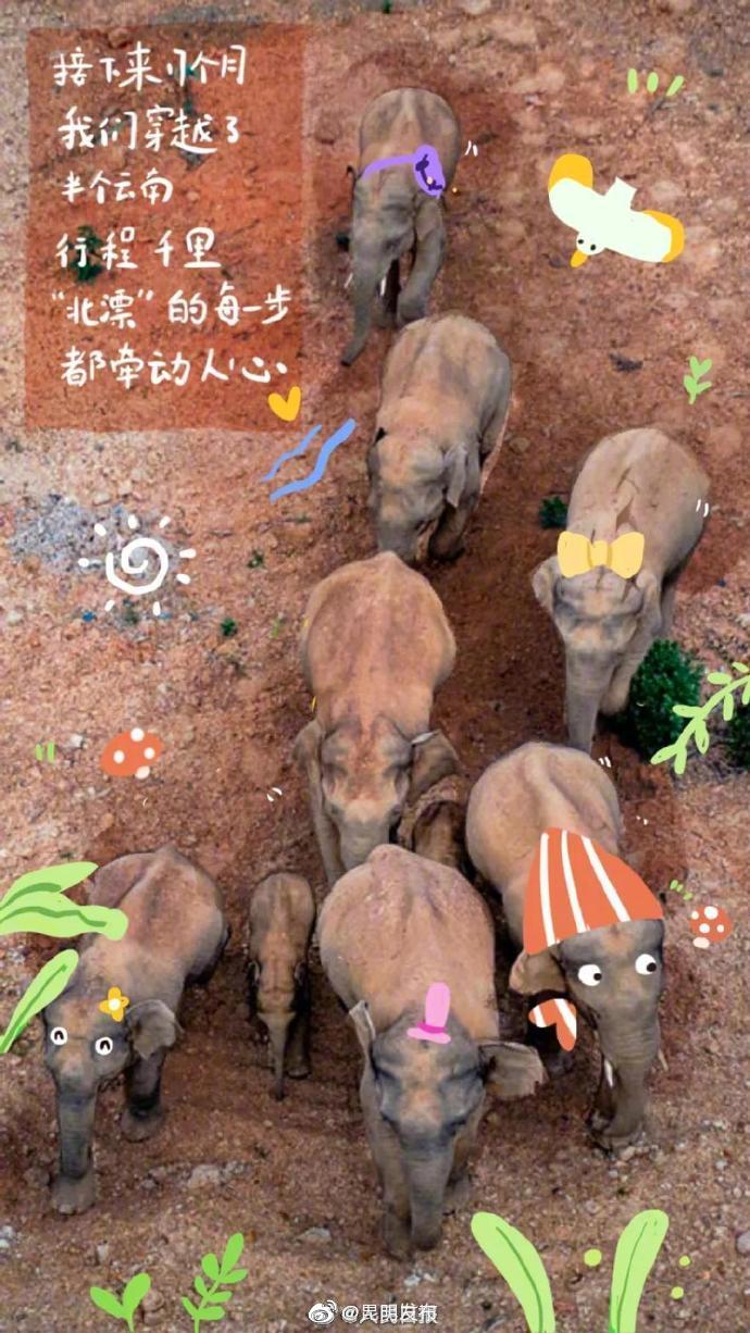 “昆明发布”微博