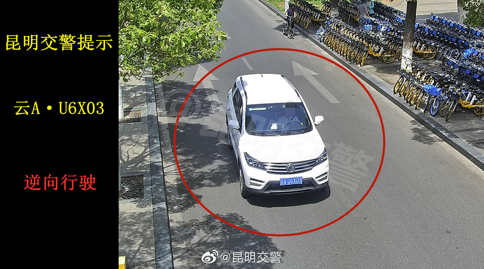 昆明交警微博