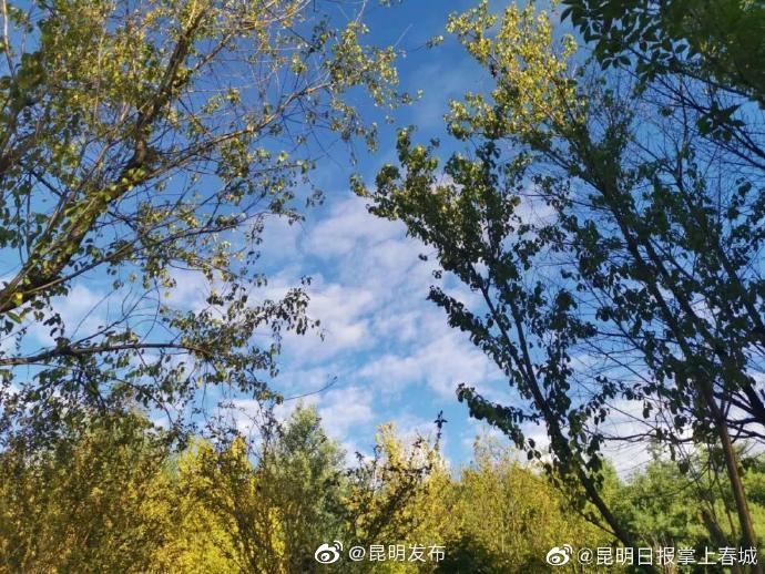 昆明未来几天阳光持续在线