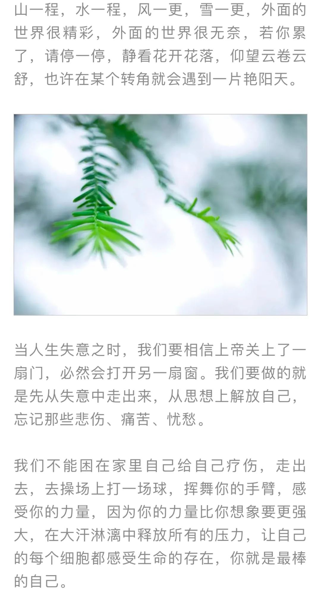 红色扎西(微信)