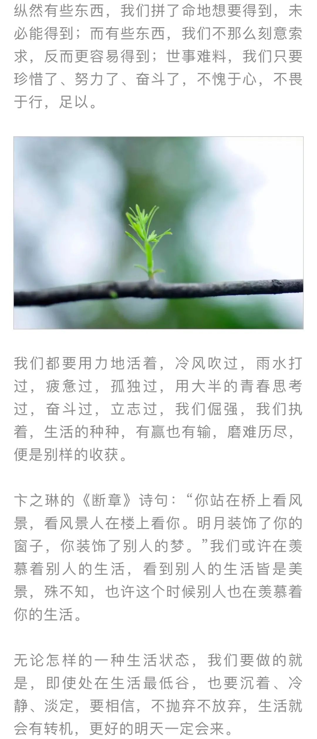 红色扎西(微信)