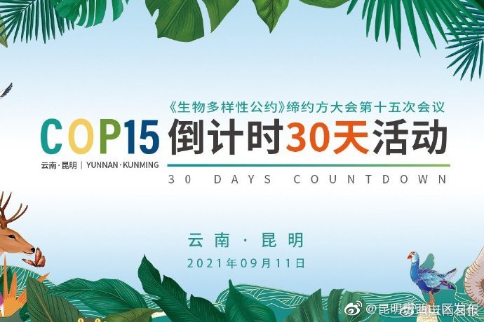 COP15倒计时30天期待！COP15纪念珍藏邮册《生物王国 美丽云南》定制完成