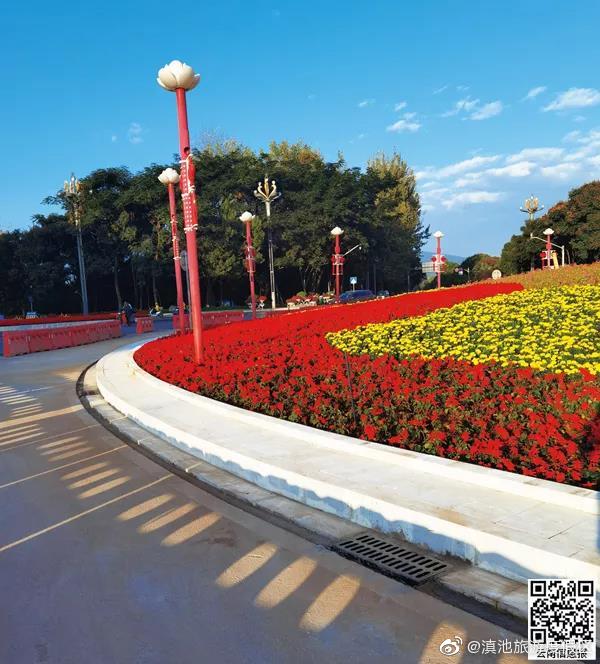 喜迎COP15 度假区开启“美颜模式”