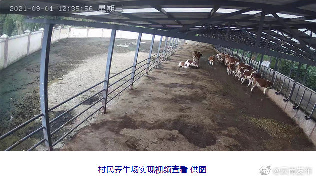 “云南发布”微博