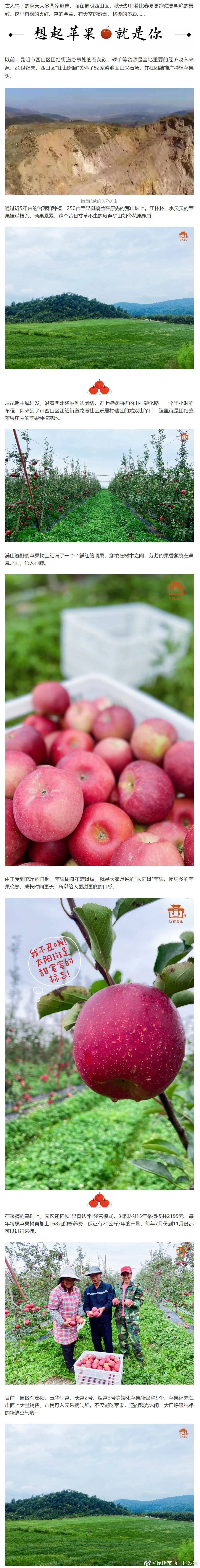 “昆明市西山区发布”微博