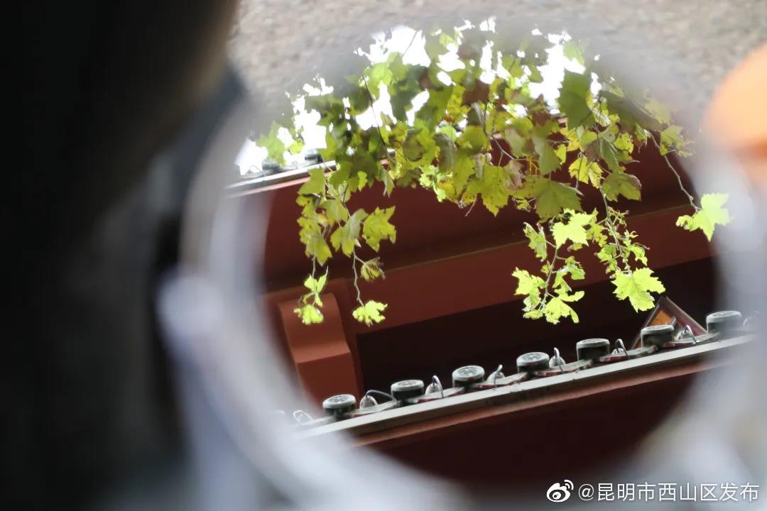 “昆明市西山区发布”微博