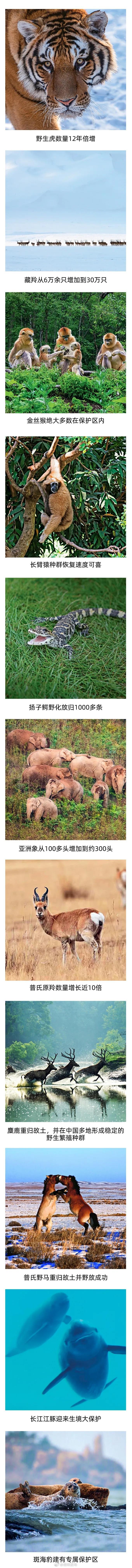 “昆明发布”微博