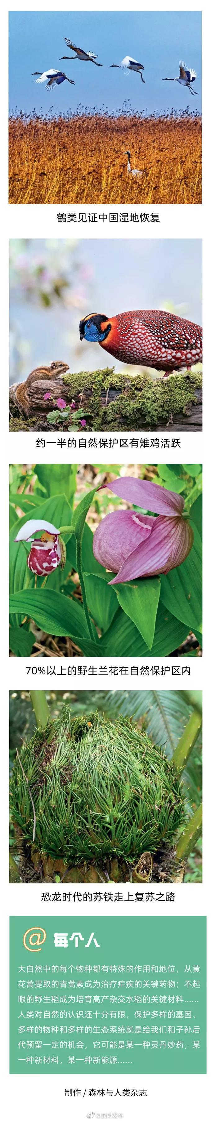 “昆明发布”微博