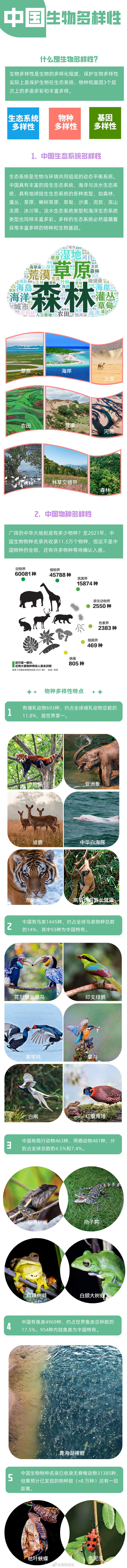 “昆明发布”微博