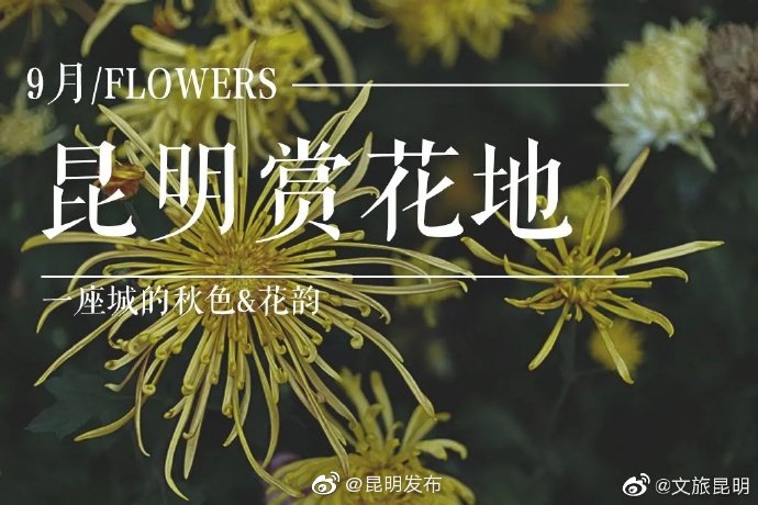 “昆明发布”微博