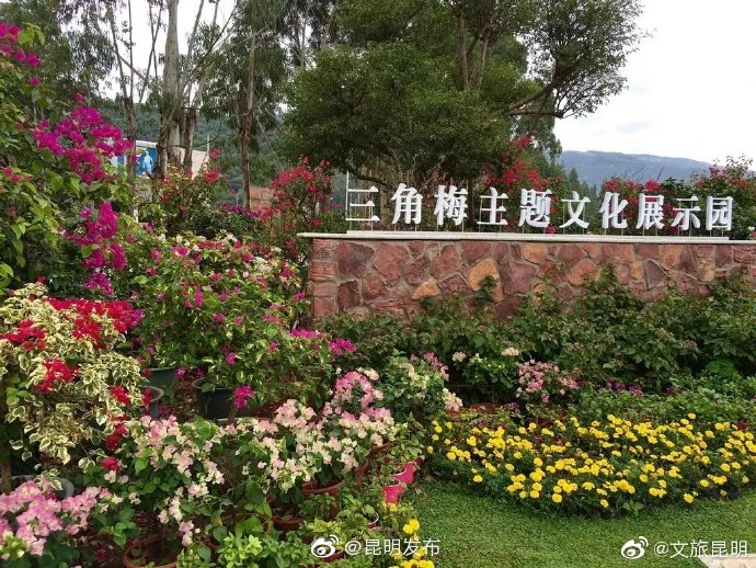 “昆明发布”微博